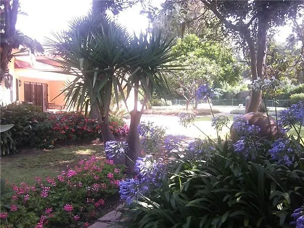 Villa Marx Marbella